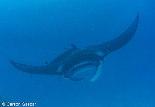  DSC5834-Enhanced-NR-Edit