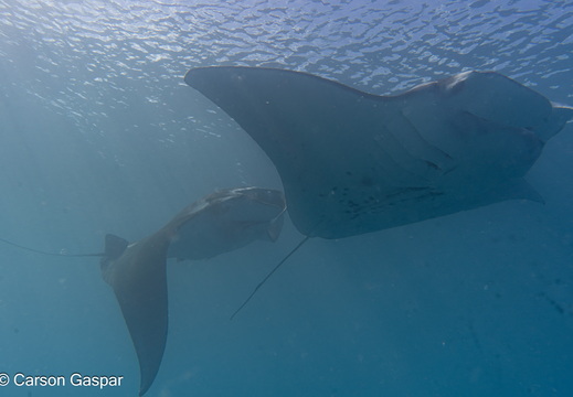  DSC5880-Enhanced-NR-Edit