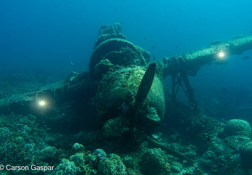  DSC6106-Enhanced-NR-Edit